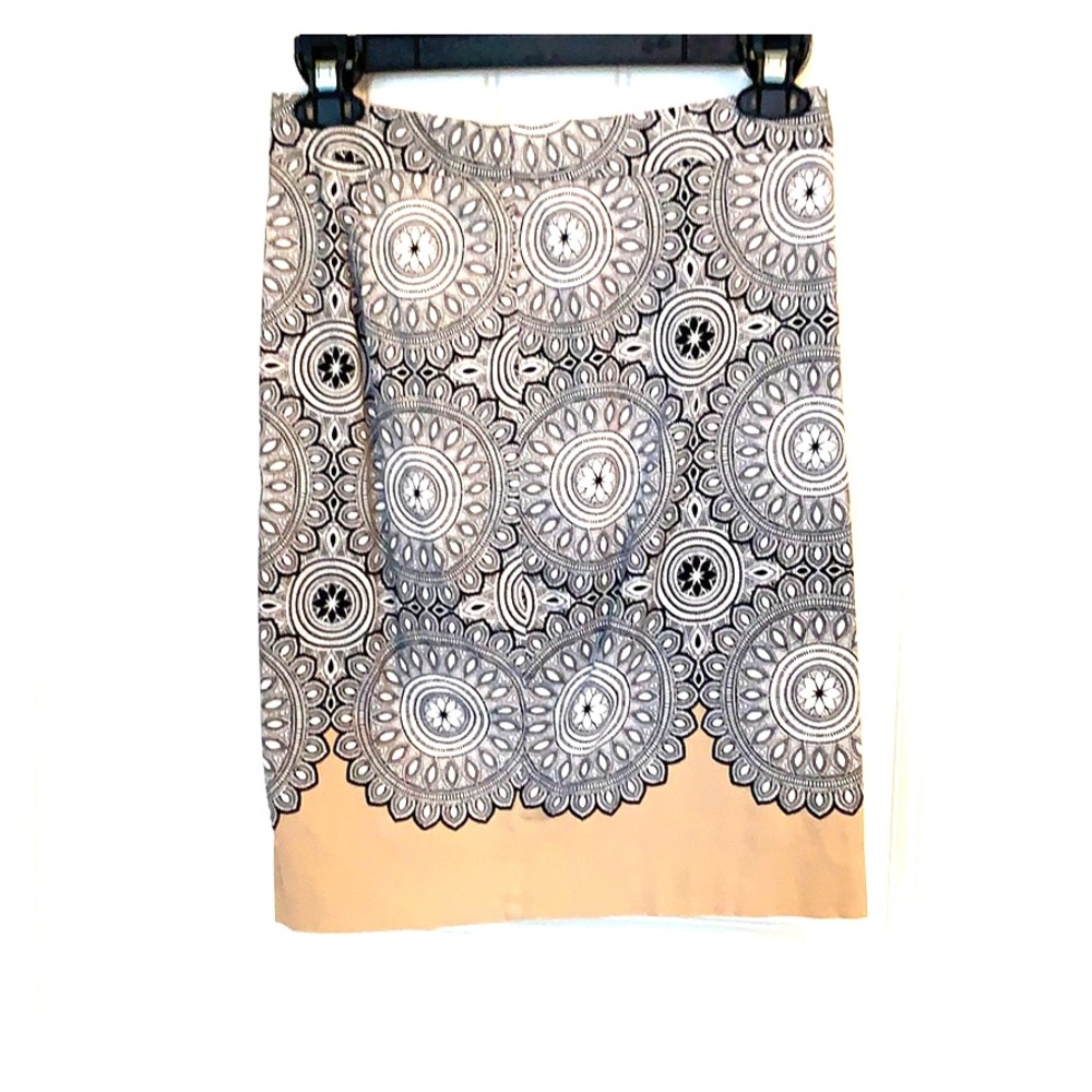 Express skirt